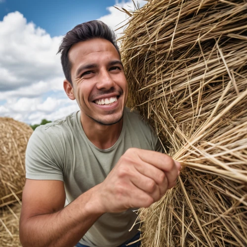 straw bales,straw bale,round straw bales,straw roofing,haymaking,straw hut,hay stack,straw harvest,hay bales,bales of hay,hay bale,round bale,woman of straw,pile of straw,thatching,straw field,threshing,farmworker,hemp rope,thatch roofed hose,Photography,General,Realistic