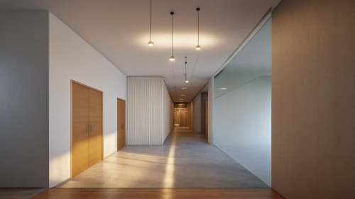 hallway space,hallway,daylighting,3d rendering,recessed,concrete ceiling,core renovation,walk-in closet,render,wall light,shared apartment,corridor,an apartment,room divider,interior modern design,archidaily,track lighting,apartment,modern room,ceiling lighting,Photography,General,Realistic