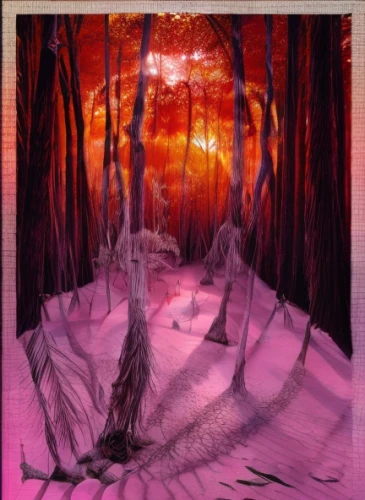 colored pencil background,forest landscape,winter forest,pink dawn,forest background,purple landscape,enchanted forest,forest of dreams,haunted forest,forest fire,winter landscape,holy forest,fabric painting,deciduous forest,ghost forest,forest glade,forest path,ice landscape,the forest,oil painting on canvas,Light and shadow,Landscape,Sky 4