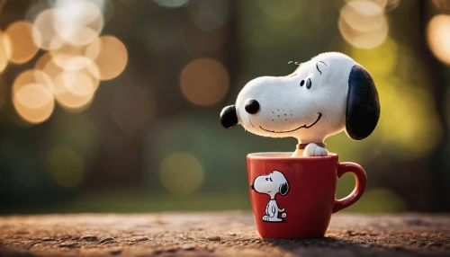snoopy,autumn hot coffee,cup of cocoa,a cup of coffee,hot drink,coffee can,cute coffee,coffee break,hot coffee,cup of coffee,coffee background,dog photography,coffee cup,drinking coffee,dog-photography,coffee mug,tea zen,a cup of tea,coffee time,hot cocoa,Photography,General,Cinematic