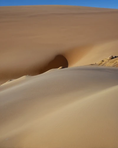 libyan desert,sahara desert,admer dune,sahara,namib,sand dunes,gobi desert,the sand dunes,desert desert landscape,sand dune,crescent dunes,namib desert,dunes national park,capture desert,argentina desert,dunes,san dunes,desert landscape,dune landscape,desertification,Photography,General,Realistic