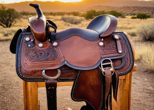 horse tack,saddle,wooden saddle,cowboy mounted shooting,stagecoach,equestrian helmet,western riding,horse harness,horse-rocking chair,horsemanship,endurance riding,buffalo plaid rocking horse,cowboy bone,wild west,western pleasure,handgun holster,head plate,rock rocking horse,gunfighter,cavalry trumpet,Unique,Pixel,Pixel 04