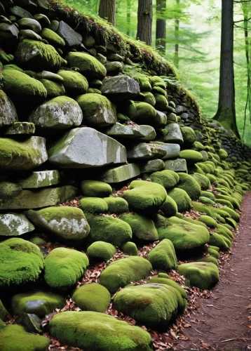 stone wall,stone wall road,background with stones,stacked stones,stone fence,mountain stone edge,zen stones,green wallpaper,cry stone walls,massage stones,green forest,wall,rock walls,stone bench,aaa,germany forest,forest path,moss,hiking path,appalachian trail,Conceptual Art,Fantasy,Fantasy 29