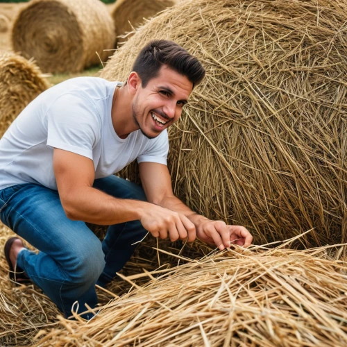 straw bales,round straw bales,straw bale,haymaking,straw roofing,straw harvest,hay bales,round bale,bales of hay,hay stack,hay bale,pile of straw,straw hut,straw field,round bales,threshing,needle in a haystack,hay barrel,woman of straw,bales,Photography,General,Realistic