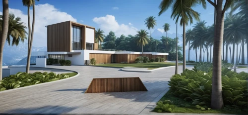 landscape design sydney,landscape designers sydney,tropical house,3d rendering,holiday villa,garden design sydney,cube stilt houses,dunes house,modern house,house by the water,coconut palms,palm pasture,coconut tree,luxury property,palm field,palm garden,seminyak,palm forest,maldives mvr,uluwatu,Photography,General,Realistic