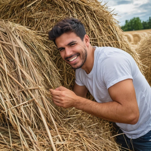 straw bales,round straw bales,straw bale,haymaking,straw roofing,hay stack,pile of straw,hay bales,straw hut,straw harvest,hay bale,bales of hay,needle in a haystack,straw field,roumbaler straw,round bale,threshing,woman of straw,hay balls,rice straw broom,Photography,General,Realistic