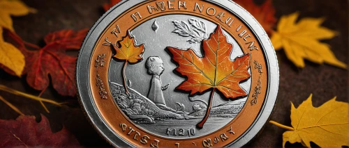 autumn icon,jubilee medal,fall picture frame,silver coin,maple leave,thanksgiving background,autumn background,canadian dollar,autumn round,maple leaf red,leaf background,bloodrootsanguinaria canadensis,round autumn frame,silver maple,maple leaf,canada cad,fall leaf border,autumn theme,silver dollar,national emblem,Illustration,Abstract Fantasy,Abstract Fantasy 01