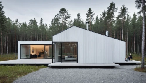 cubic house,inverted cottage,timber house,small cabin,house in the forest,scandinavian style,cube house,danish house,frame house,wooden house,house shape,summer house,mirror house,cabin,dunes house,modern house,modern architecture,metal cladding,the cabin in the mountains,holiday home,Photography,Documentary Photography,Documentary Photography 04