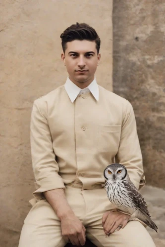 gyrfalcon,zoroastrian novruz,falconry,owl-real,falconer,persian poet,bird png,ornithology,harp of falcon eastern,white pigeon,kabir,doves and pigeons,cockatiel,aplomado falcon,gujarat birds,saker falcon,human and animal,carrier pigeon,owl background,i love birds