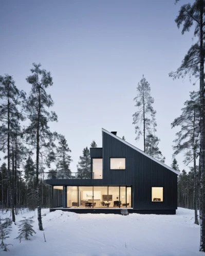 timber house,house in the forest,winter house,scandinavian style,inverted cottage,cubic house,danish house,wooden house,small cabin,snow house,snowhotel,summer house,snow roof,cube house,finland,frame house,residential house,holiday home,house shape,house in mountains,Photography,Documentary Photography,Documentary Photography 04