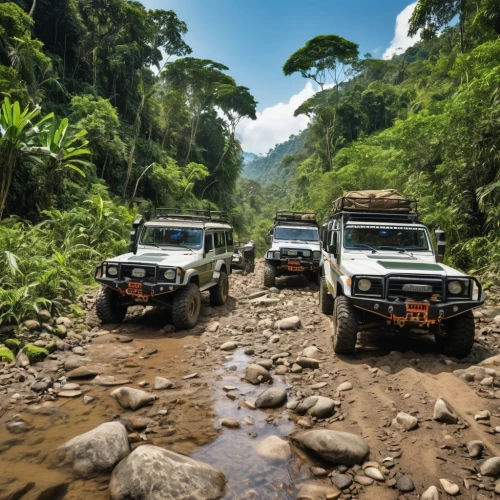 4x4,jeeps,offroad,off-roading,off-road vehicles,rally raid,jeep rubicon,off road,four wheel drive,off-road,cabaneros national park,herman national park,costa rica,all-terrain,dakar rally,land-rover,4wd,guatemala gtq,toyota land cruiser,off-road racing,Photography,General,Realistic