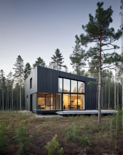 house in the forest,cubic house,timber house,cube house,modern house,inverted cottage,dunes house,modern architecture,wooden house,danish house,small cabin,metal cladding,frame house,mirror house,residential house,summer house,holiday home,pine forest,scandinavian style,smart house,Photography,Documentary Photography,Documentary Photography 04