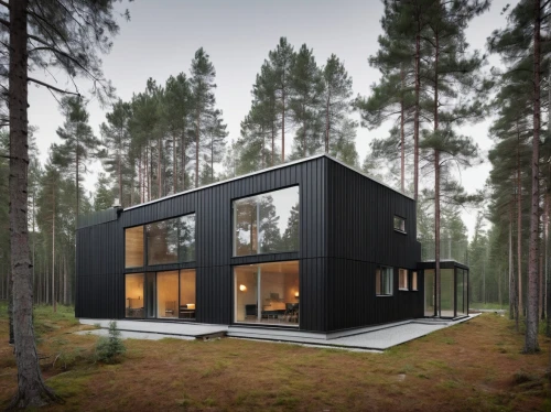 house in the forest,cubic house,timber house,inverted cottage,cube house,wooden house,small cabin,frame house,modern house,mirror house,danish house,scandinavian style,modern architecture,summer house,holiday home,small house,prefabricated buildings,cabin,wooden hut,dunes house,Photography,Documentary Photography,Documentary Photography 04