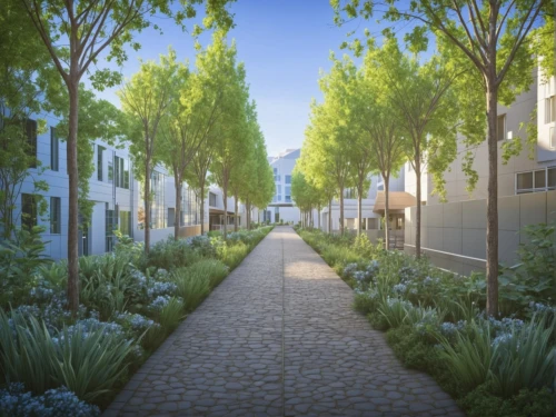 palo alto,stellenbosch,townhouses,paved square,new housing development,old linden alley,botanical square frame,tree-lined avenue,bendemeer estates,urban park,3d rendering,constantia,residential area,landscape design sydney,lafayette park,beverly hills,tree lined path,pathway,blocks of houses,aurora village,Photography,General,Realistic