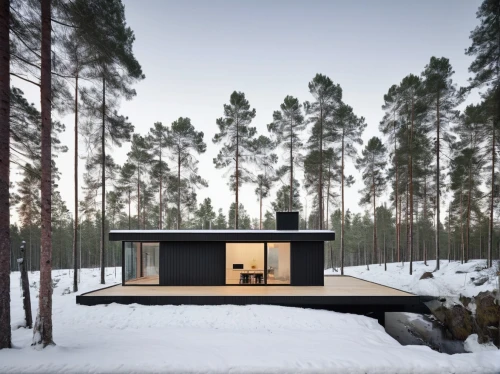 house in the forest,timber house,cubic house,inverted cottage,winter house,small cabin,mirror house,cube house,snowhotel,wooden house,summer house,snow house,holiday home,snow shelter,frame house,scandinavian style,danish house,snow roof,prefabricated buildings,dunes house,Photography,Documentary Photography,Documentary Photography 04