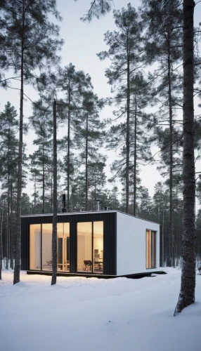 cubic house,house in the forest,snowhotel,winter house,timber house,inverted cottage,cube house,snow house,snow shelter,snow roof,scandinavian style,small cabin,mirror house,modern house,frame house,dunes house,modern architecture,holiday home,summer house,danish house,Photography,Documentary Photography,Documentary Photography 04