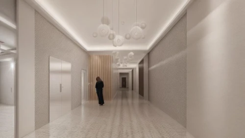 hallway space,hallway,corridor,3d rendering,walk-in closet,white room,hotel hall,room divider,render,recessed,interior modern design,interior design,contemporary decor,modern room,ceiling construction,entrance hall,interior decoration,ceiling lighting,modern decor,wall plaster,Common,Common,Natural