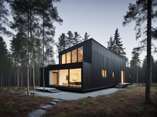 house in the forest,timber house,cubic house,inverted cottage,wooden house,small cabin,cube house,danish house,frame house,modern house,scandinavian style,mirror house,modern architecture,small house,cabin,house shape,prefabricated buildings,wooden hut,summer house,holiday home,Photography,Documentary Photography,Documentary Photography 04