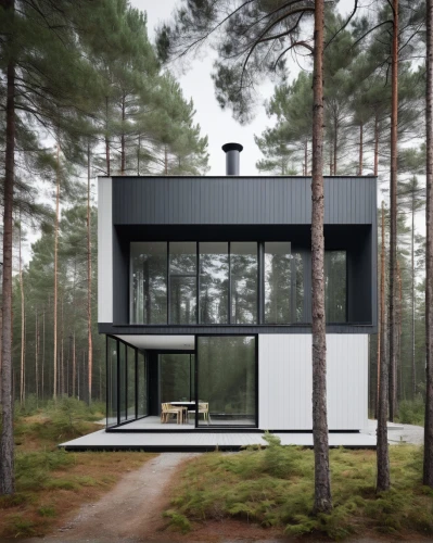 house in the forest,cubic house,timber house,inverted cottage,cube house,wooden house,modern house,frame house,dunes house,modern architecture,danish house,mirror house,summer house,small cabin,scandinavian style,holiday home,tree house,private house,residential house,small house,Photography,Documentary Photography,Documentary Photography 04