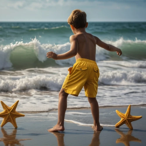 starfishes,walk on the beach,nautical star,children's background,starfish,star scatter,footprints in the sand,kids' things,beach defence,photographing children,therapeutic discipline,baby stars,playing in the sand,sea star,beach background,travel insurance,throwing star,enjoyment of life,star of the cape,beach toy