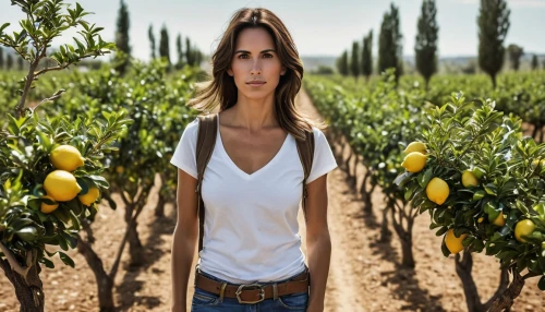 farm girl,farmworker,agroculture,fruit fields,farmer,woman eating apple,mirabelles,agriculture,lemon background,pesticide,farm workers,agricultural,girl in overalls,farming,aggriculture,potato field,farm background,farmers,grape harvest,lemon tree,Photography,General,Realistic
