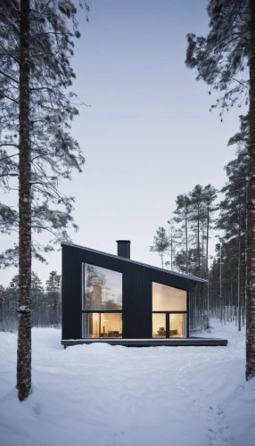 winter house,house in the forest,inverted cottage,timber house,cubic house,snow house,snowhotel,cube house,small cabin,scandinavian style,snow shelter,snow roof,danish house,wooden house,holiday home,summer house,frame house,dunes house,modern house,house in mountains,Photography,Documentary Photography,Documentary Photography 04
