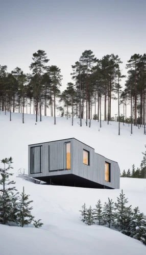 inverted cottage,snowhotel,snow shelter,cubic house,snow house,snow roof,timber house,winter house,cube house,small cabin,holiday home,dunes house,house in the forest,mountain hut,mobile home,mirror house,summer house,cube stilt houses,frame house,wooden house,Photography,Documentary Photography,Documentary Photography 04