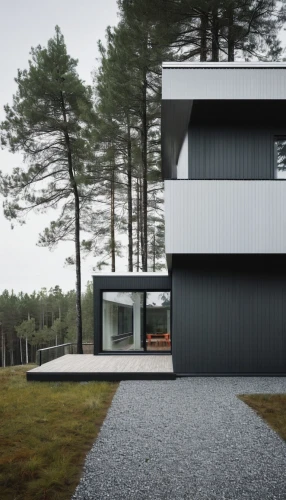 cubic house,modern house,inverted cottage,cube house,dunes house,frame house,danish house,modern architecture,timber house,house in the forest,metal cladding,residential house,wooden house,house shape,3d rendering,folding roof,render,archidaily,mirror house,smart house,Photography,Documentary Photography,Documentary Photography 04