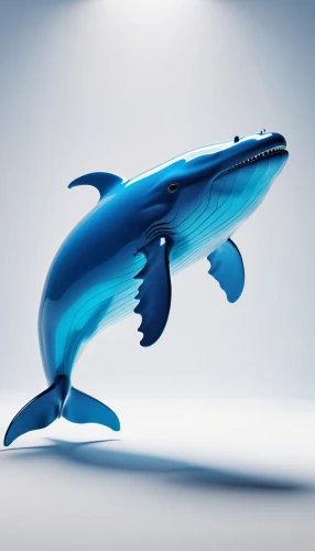 blue whale,dolphin background,whale,cetacean,northern whale dolphin,dolphin,cetacea,giant dolphin,porpoise,marine mammal,whales,a flying dolphin in air,flipper,pot whale,dolphin-afalina,dusky dolphin,humpback whale,bottlenose dolphin,cinema 4d,road dolphin,Photography,General,Realistic