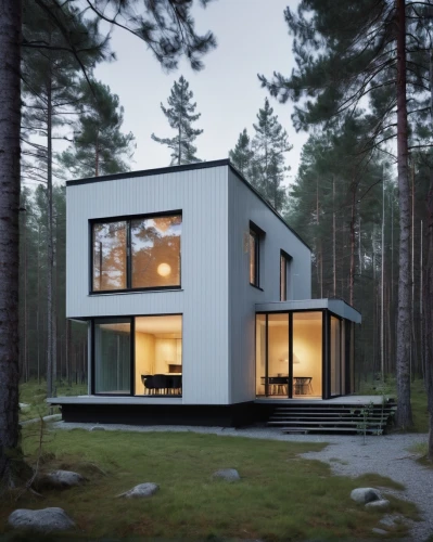 cubic house,inverted cottage,house in the forest,timber house,scandinavian style,danish house,cube house,modern house,modern architecture,frame house,wooden house,small cabin,summer house,holiday home,dunes house,house shape,metal cladding,mirror house,smart house,prefabricated buildings,Photography,Documentary Photography,Documentary Photography 04