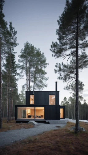 timber house,house in the forest,cubic house,inverted cottage,cube house,danish house,wooden house,small cabin,dunes house,scandinavian style,holiday home,modern house,summer house,modern architecture,frame house,cabin,residential house,summer cottage,small house,house shape,Photography,Documentary Photography,Documentary Photography 04