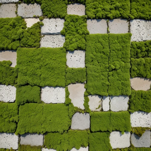 block of grass,turf roof,moss,groundcover,artificial grass,green wallpaper,aerial landscape,brick grass,grass roof,green lawn,artificial turf,ground cover,forest moss,green grass,wall,green fields,green landscape,wheat grass,terraces,algae,Photography,General,Realistic
