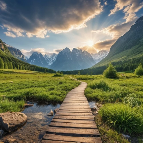 the mystical path,hiking path,pathway,wooden path,the path,online path travel,aaa,the way of nature,berchtesgaden national park,landscape background,wooden bridge,walkway,landscape mountains alps,beautiful landscape,landscapes beautiful,nature landscape,mountainous landscape,tree lined path,the way,mountain landscape,Photography,General,Realistic