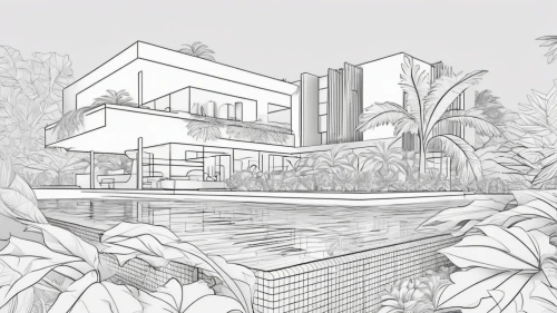 landscape design sydney,landscape designers sydney,garden design sydney,tropical house,house drawing,garden elevation,3d rendering,modern house,arq,residential house,landscape plan,modern architecture,line drawing,wireframe graphics,coloring page,archidaily,kirrarchitecture,foliage coloring,mid century house,contemporary,Design Sketch,Design Sketch,Outline