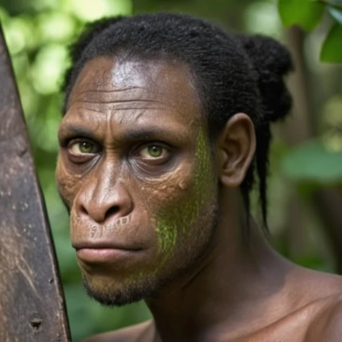 aborigine,aborigines,papuan,indigenous australians,anmatjere man,bushmeat,aboriginal australian,neanderthal,cercopithecus neglectus,primitive people,ancient people,ape,primitive person,uakari,african american male,aboriginal,people of uganda,cave man,the blood breast baboons,african man,Photography,General,Realistic