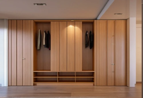 walk-in closet,room divider,storage cabinet,cabinetry,armoire,wardrobe,hinged doors,sliding door,cupboard,closet,cabinets,changing room,wooden sauna,changing rooms,modern room,one-room,contemporary decor,hallway space,interior modern design,dark cabinetry,Photography,General,Realistic