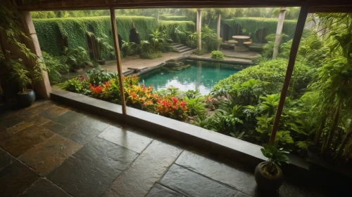 landscape designers sydney,dug-out pool,bamboo curtain,luxury bathroom,landscape design sydney,garden pond,outdoor pool,pool house,garden design sydney,window view,window film,tropical jungle,window curtain,tropical house,green waterfall,mineral spring,swimming pool,volcano pool,fish pond,water feature