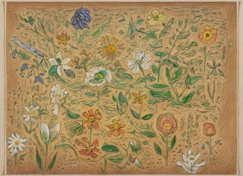 embroidered flowers,meadows-horn clover,vintage embroidery,hare's-foot- clover,hare's-foot-clover,floral rangoli,flower painting,cloves schwindl inge,wildflower meadow,flower drawing,wildflowers,flowers frame,flower fabric,wood and flowers,floral composition,field flowers,floral border paper,floral frame,blanket of flowers,flowers png,Art sketch,Art sketch,Traditional