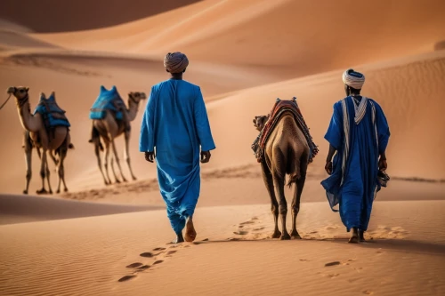 dromedaries,camels,camel caravan,afar tribe,nomadic people,camel train,dromedary,male camel,arabian camel,shadow camel,sahara desert,bedouin,nomadic children,merzouga,nomads,camel,camelride,morocco,two-humped camel,orientalism,Photography,General,Cinematic