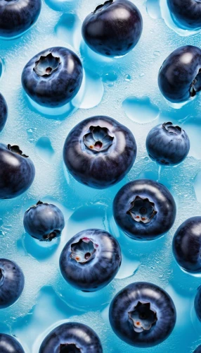 water drops,blueberries,waterdrops,droplets of water,air bubbles,water droplets,drops of milk,droplets,tapioca,drops of water,blue mold,dew droplets,blue eggs,dewdrops,surface tension,bottle caps,gel capsules,drops on the body,blue grapes,mitosis,Photography,General,Realistic