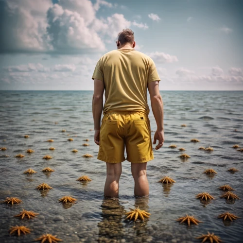 man at the sea,photo manipulation,the shallow sea,conceptual photography,exploration of the sea,sea urchins,the people in the sea,photoshop manipulation,horseshoe crabs,digital compositing,marine biology,offshore drilling,sea-life,sea-urchin,marine scientists,starfishes,photomanipulation,wading,image manipulation,sea man