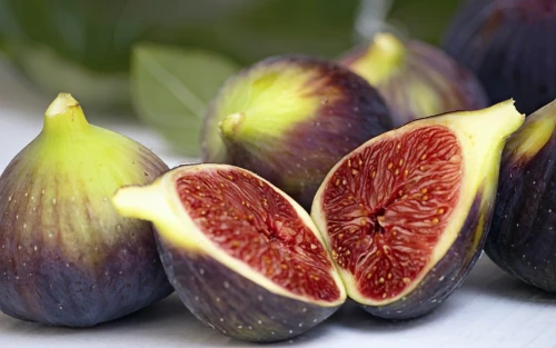 figs,fig,common fig,barbary fig,fig tree,sacred fig,cluster fig tree,european plum,frutta martorana,blood plum,annona,eggplant,purple mangosteen,fruit-of-the-passion,cacciucco,grape seed extract,fig leaf,eggplants,plum,davidson's plum