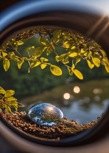 earth in focus,lens reflection,lensball,crystal ball-photography,porthole,round autumn frame,little planet,tiny world,magnify glass,macro world,magnifier glass,round window,ecological sustainable development,circle around tree,magnifying lens,environmental sin,icon magnifying,parabolic mirror,small planet,window to the world,Photography,General,Natural
