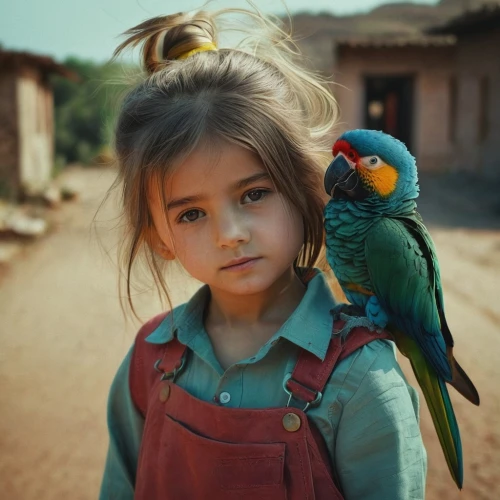 parrot,beautiful macaw,blue parrot,rosella,guatemalan quetzal,tropical birds,macaws of south america,rare parrot,photographing children,exotic bird,colorful birds,little girl,national geographic,tropical bird climber,little boy and girl,beautiful parakeet,beautiful bird,peacock,tropical bird,gipsy,Photography,Documentary Photography,Documentary Photography 08
