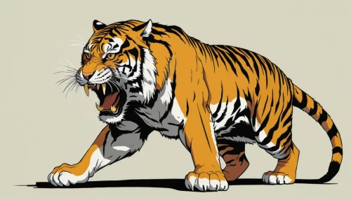 tiger png,bengal tiger,a tiger,tiger,type royal tiger,asian tiger,bengal,siberian tiger,tigers,royal tiger,bengalenuhu,tigerle,tiger head,chestnut tiger,sumatran tiger,tiger cat,sumatran,young tiger,amurtiger,blue tiger,Illustration,Vector,Vector 14