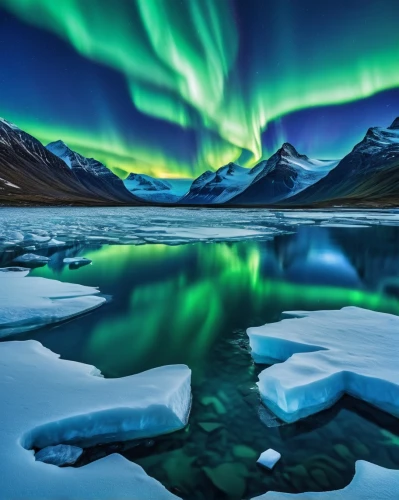 northen lights,norther lights,northern light,auroras,green aurora,northern lights,the northern lights,polar lights,greenland,nordland,northen light,northernlight,nothern lights,aurora borealis,polar aurora,aurora polar,arctic antarctica,arctic ocean,arctic,antarctic,Photography,General,Realistic