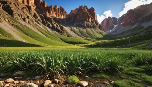 dolomites,mountain pasture,mountainous landscape,grasslands,nature landscape,dolomiti,mountain meadow,south tyrol,salt meadow landscape,argentina desert,mountain landscape,beautiful landscape,green landscape,cabrales,field of cereals,landscapes beautiful,alpine meadow,natural landscape,lilies of the valley,landscape mountains alps,Photography,General,Realistic