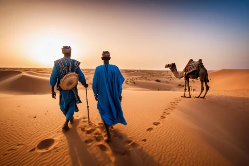 dromedaries,camel caravan,afar tribe,nomadic people,sahara desert,libyan desert,merzouga,tassili n'ajjer,bedouin,arabian camel,camels,shadow camel,sudan,male camel,camelride,sahara,rem in arabian nights,dromedary,morocco,orientalism,Photography,General,Cinematic