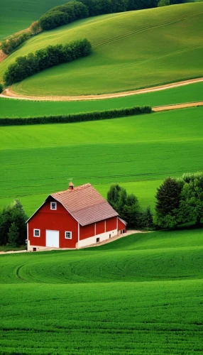 red barn,farm landscape,farmland,farm background,home landscape,rural landscape,farm house,field barn,agricultural,danish house,cropland,green landscape,rural,farm hut,barns,countryside,agriculture,green fields,fields,barn,Photography,General,Realistic