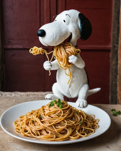 spaguetti,snoopy,spaghetti alla puttanesca,pasta,fettuccine,linguine,spaghetti aglio e olio,spaghetti,capellini,italian pasta,pasta pomodoro,passatelli,rotini,soup bones,orzo,tagliatelle,cheese noodles,fried noodles,dog-photography,dog photography,Photography,General,Natural